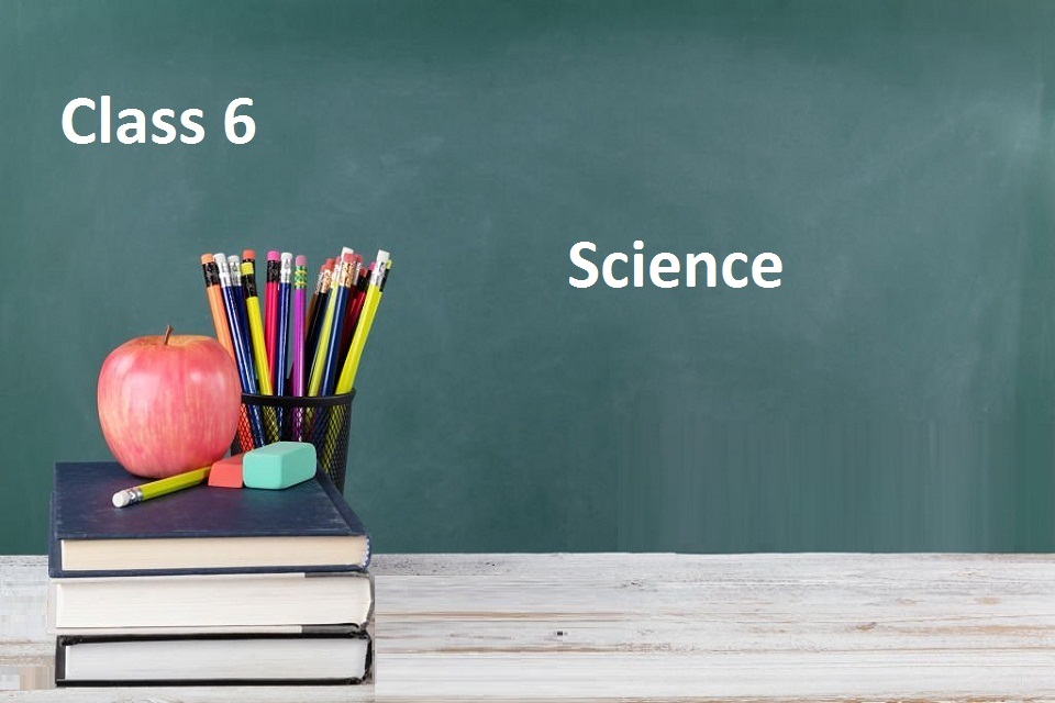 Class 6 Science image